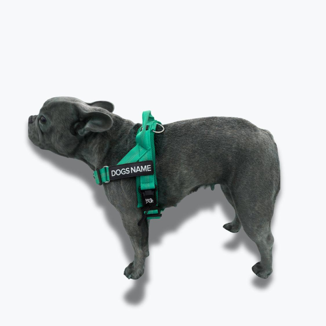 EasyWalk No Pull Harness