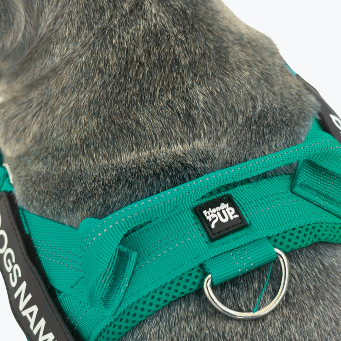 EasyWalk No Pull Harness