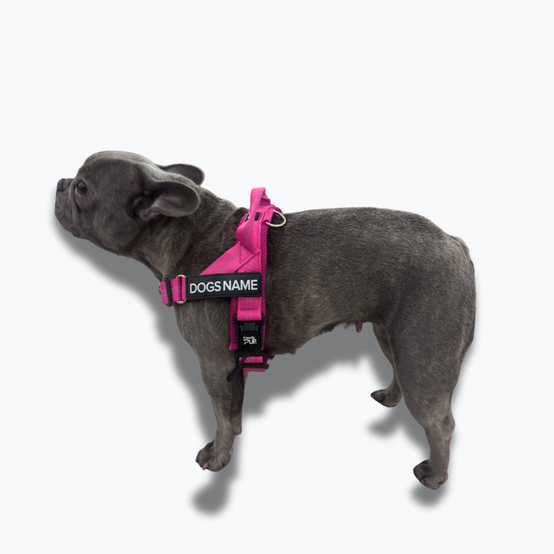 EasyWalk No Pull Harness