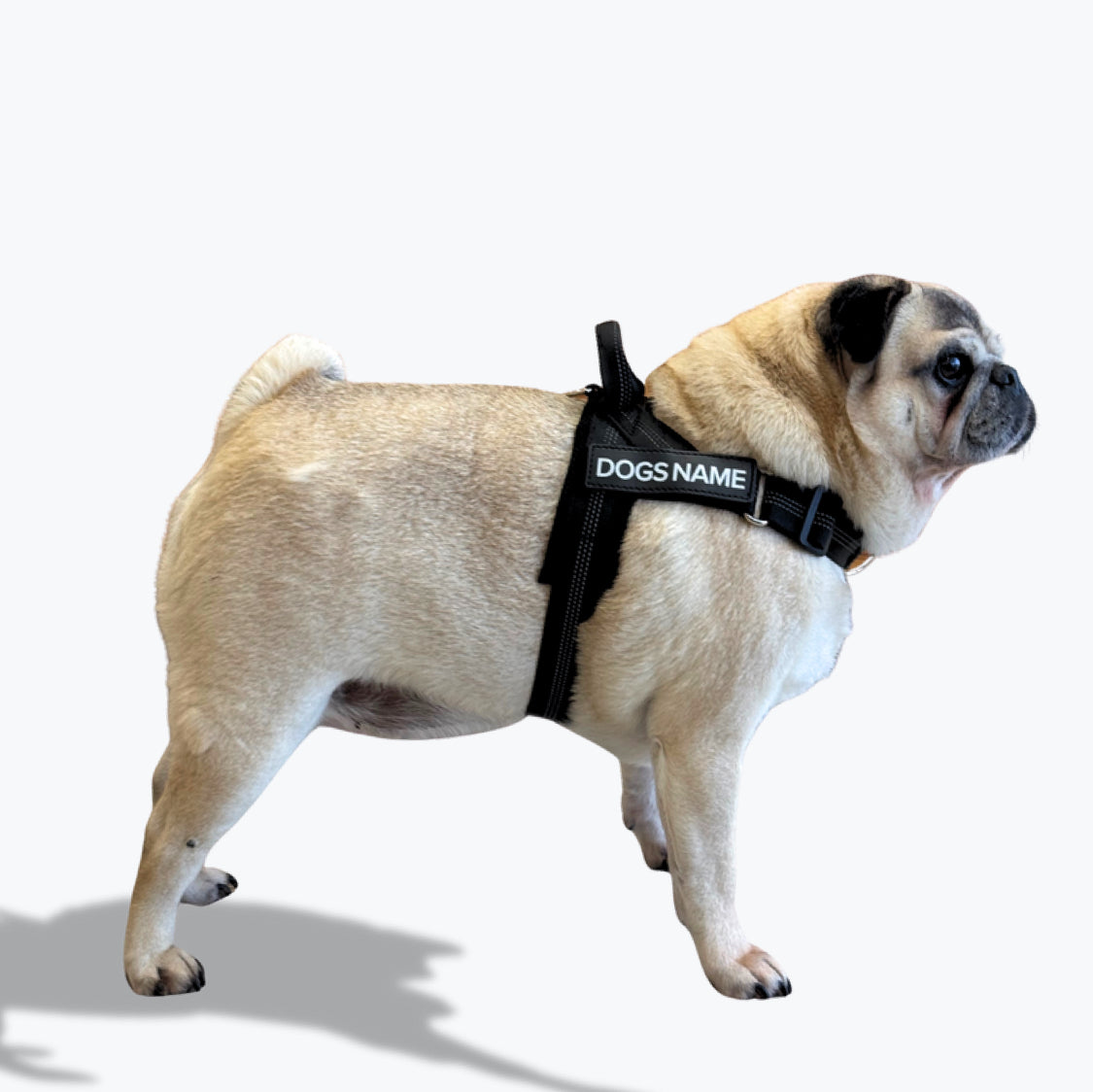 EasyWalk No Pull Harness