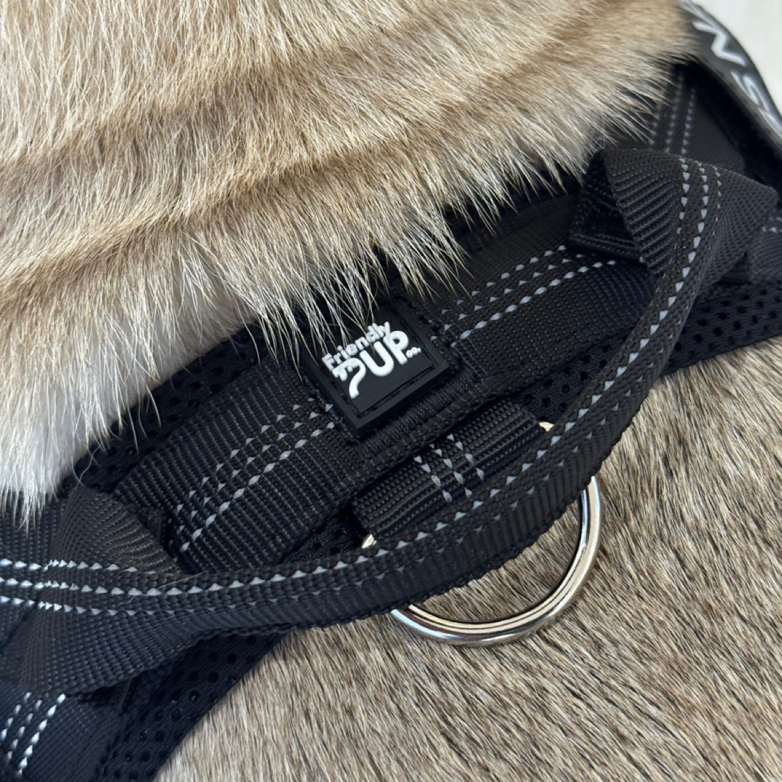 EasyWalk No Pull Harness