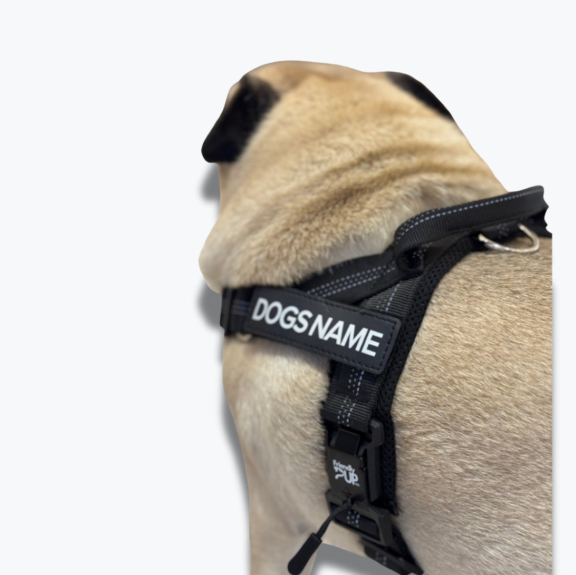 EasyWalk No Pull Harness