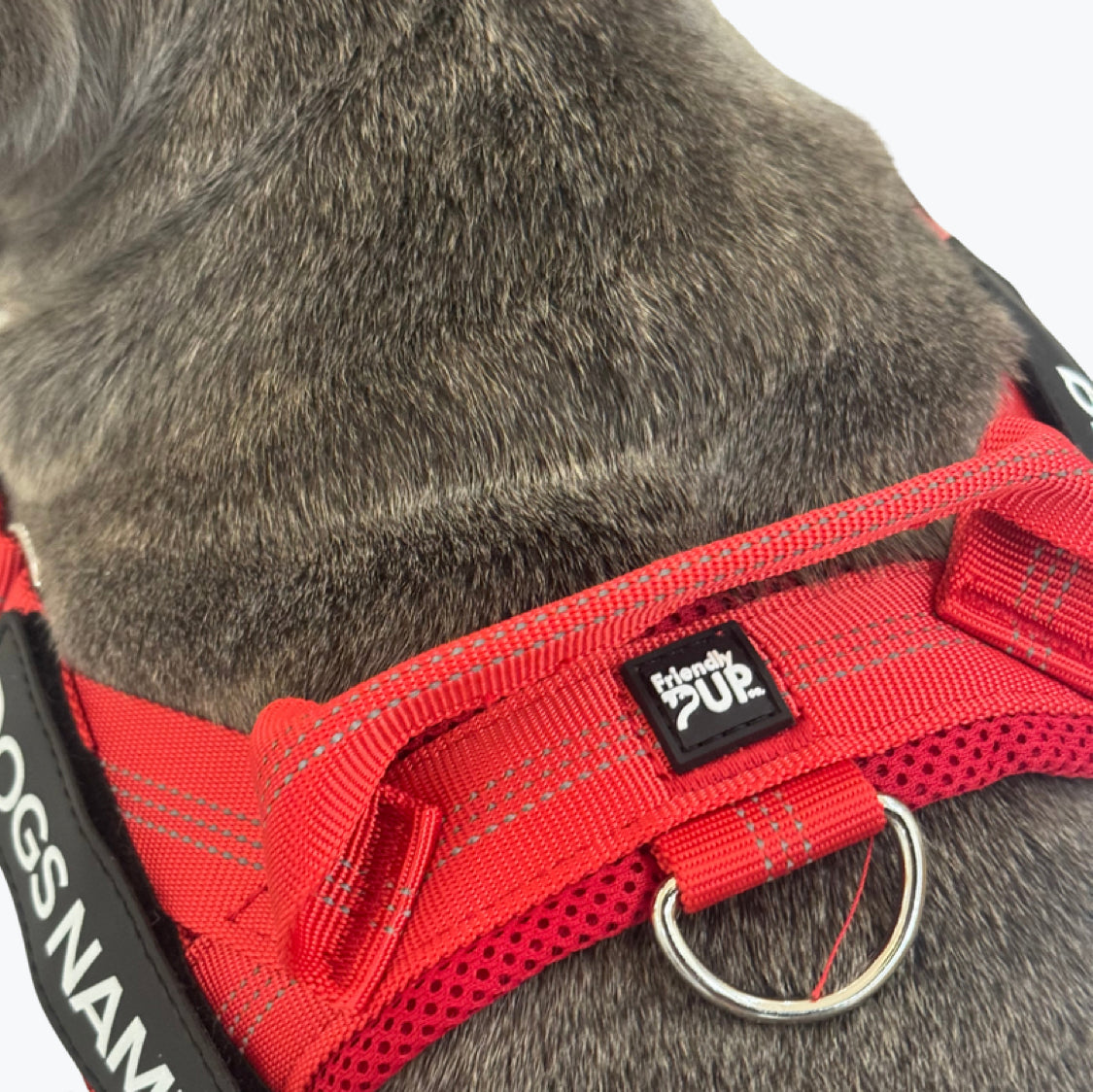 EasyWalk No Pull Harness